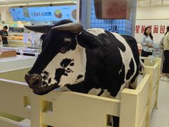 -红星前进面包牛奶公司(君太店)