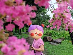 -飞来湖湿地公园