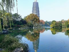 -红梅公园