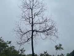 -西岭雪山大飞水景区
