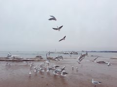 -老虎石海上公园