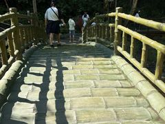 -茅兰沟国家森林公园