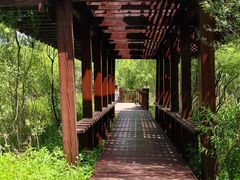 -白河湾生态旅游一条川