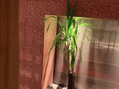 -柴门头啖汤·经典川菜·慢火汤品(锦城万达店)