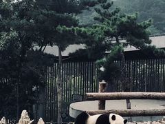 -大连森林动物园