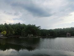 -清迈夜间动物园