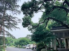 -浙江西子宾馆·瑶园咖啡厅