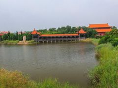 -渡海小渔村.老辈日照菜