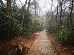 -岳麓山风景名胜区