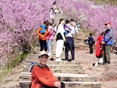 -天台山赤城山景区