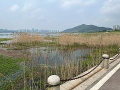 -青山湖景区