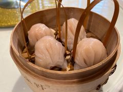 招牌虾饺皇-金鼎轩(亚运村店)