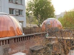 -羊门客在·烤盐池滩羊·川菜