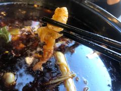 -金海椒罐罐鲢鱼(东方桂苑店)