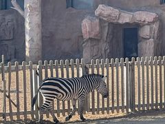 -鄂尔多斯野生动物园