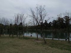 -两河城市森林公园