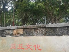 -王借岗森林公园