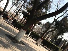 -赵州桥景区