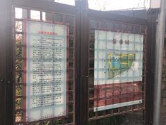 -嘉定紫藤园