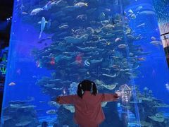 -泉城欧乐堡海洋极地世界