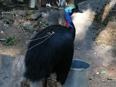 -昆明动物园