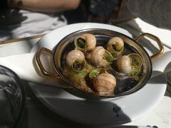 蜗牛-Le Comptoir de la Gastronomie