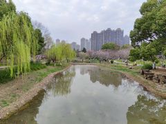 -堤角公园