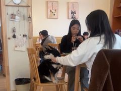 -柴の食堂·日式家庭料理·熊之肆(大学路店)
