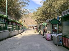 -栾川竹海野生动物园