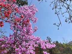 -岳西天峡风景区