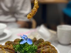 潮州生卤虾-小桃红·东北菜·春饼烤鸭(南阳湖街店)
