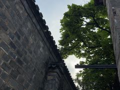 -芥子园