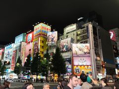 -秋叶原电器街