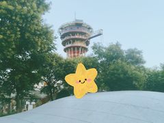 -白鹿原·白鹿仓