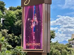 -拉斯维加斯永利酒店