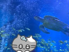 -太平洋海底世界