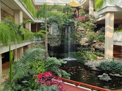 -广州白天鹅宾馆