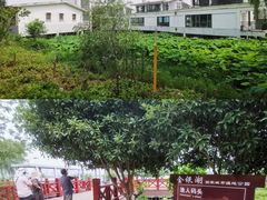 -金银湖国家城市湿地公园