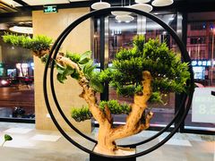 -鼎尊锅物料理(五角场店)