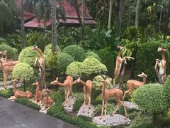 -东芭乐园