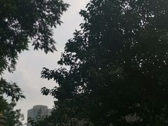 -古大圣慈寺