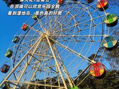 -森波拉奇妙世界
