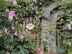 -T80科技文化国际社区-停车场