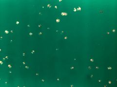 -福州罗源湾海洋世界旅游区