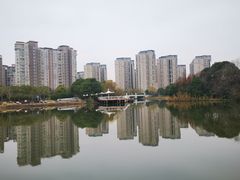 -新江湾城公园