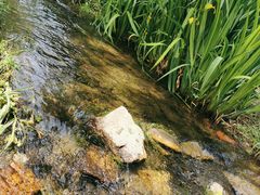 -白水寺森林公园