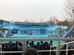 游乐设施-西安秦岭野生动物园