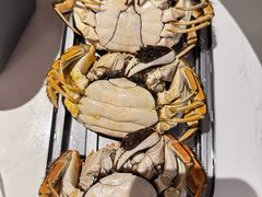 母蟹-黄记大闸蟹专卖店·活蟹·醉蟹