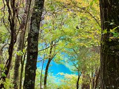 -叠溪松坪沟景区