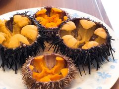 -海胆小馆(东北水饺·春柳店)